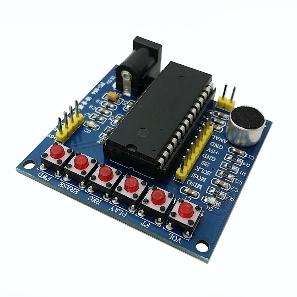 2352_1024x1024.jpg?v=1578986269